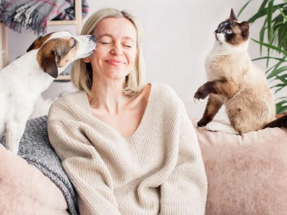 Làm Sao Để Biết Chung Cư Có Cho Nuôi Thú Cưng Hay Không?